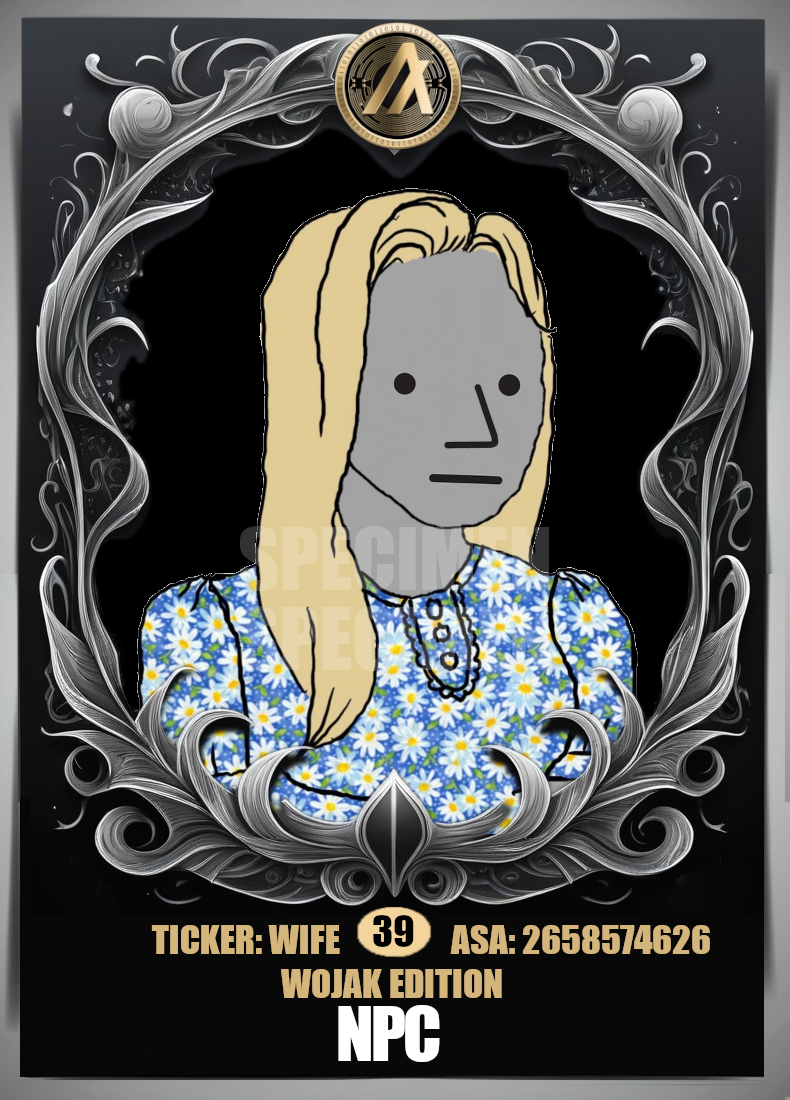 039-npc trad wife