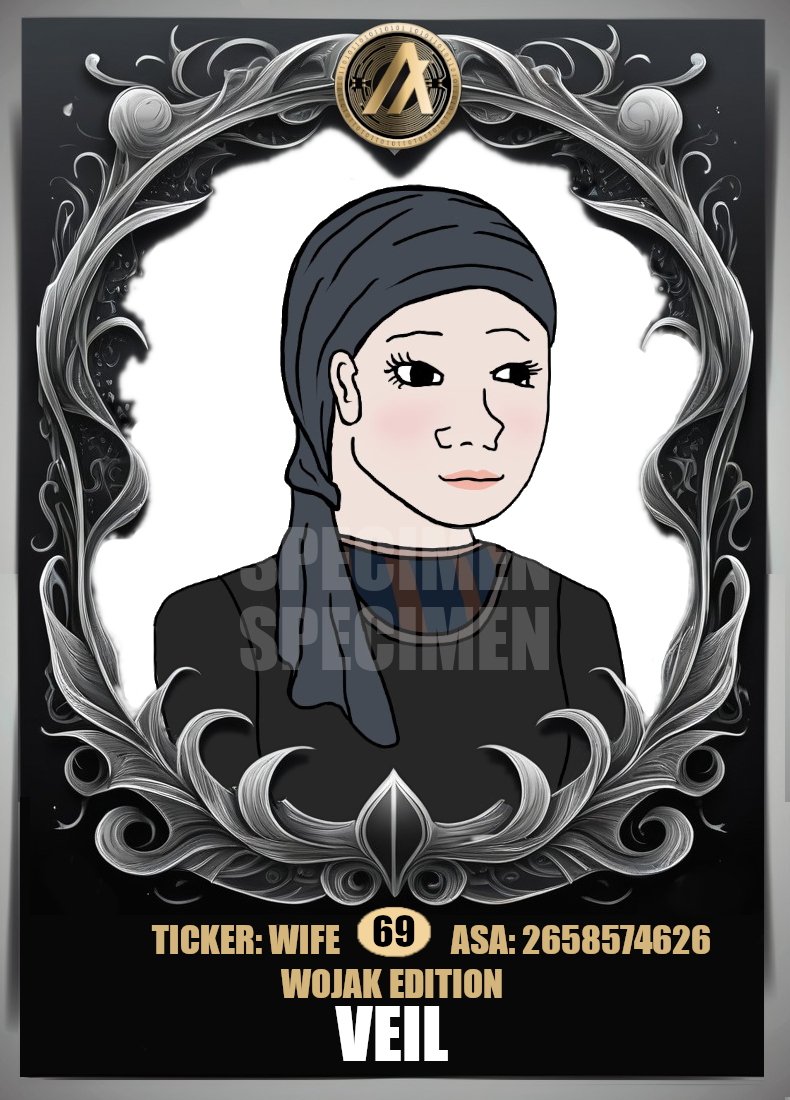 069-veil trad wife