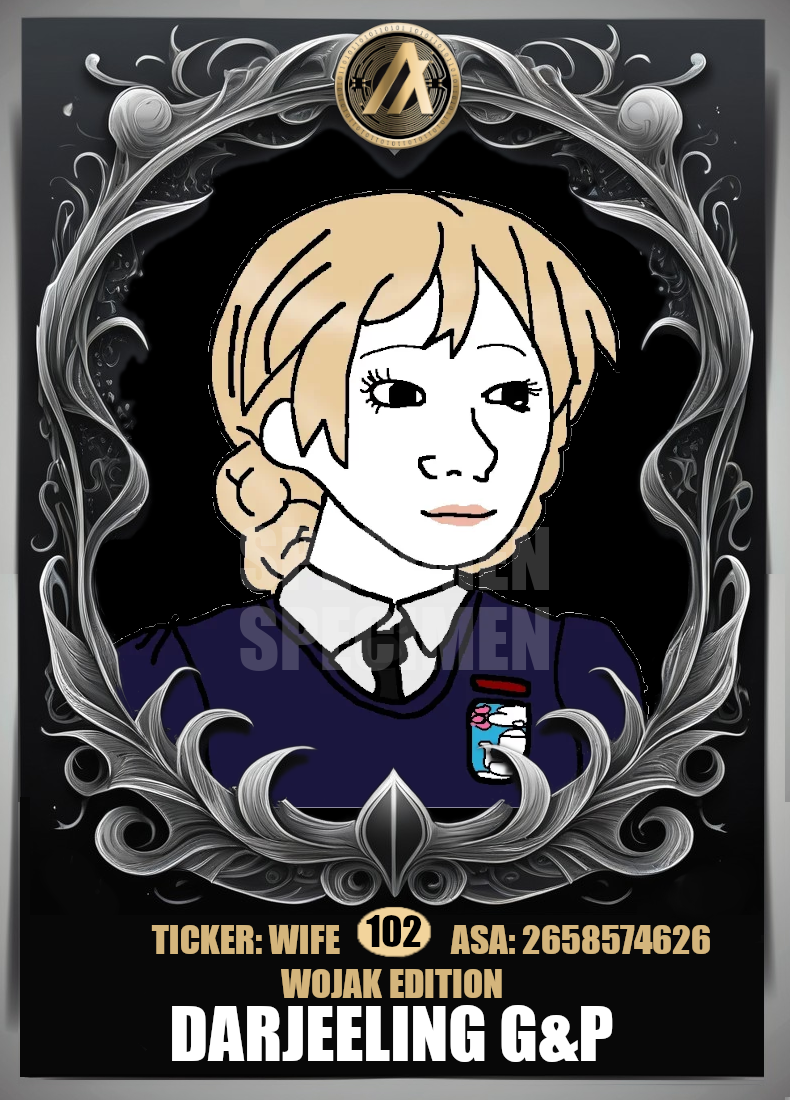 102-darjeeling girls und panzer